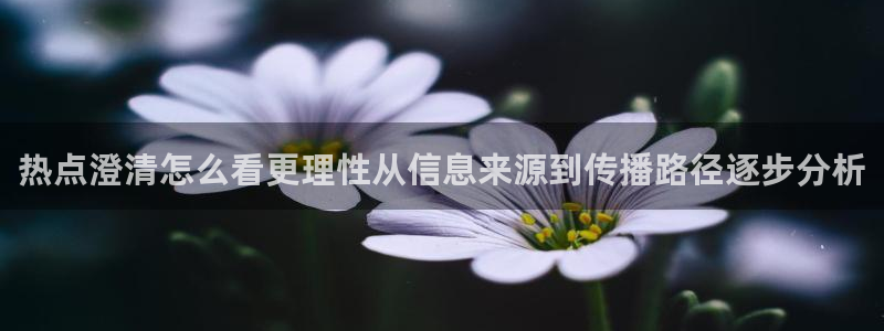 黑料事件真伪核验