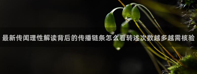 黑料揭秘后续进展