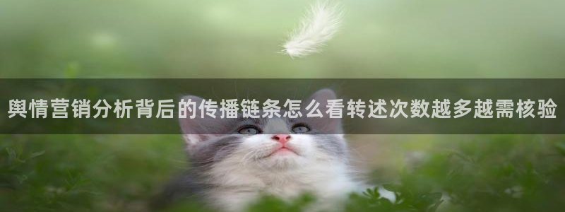 网红黑料