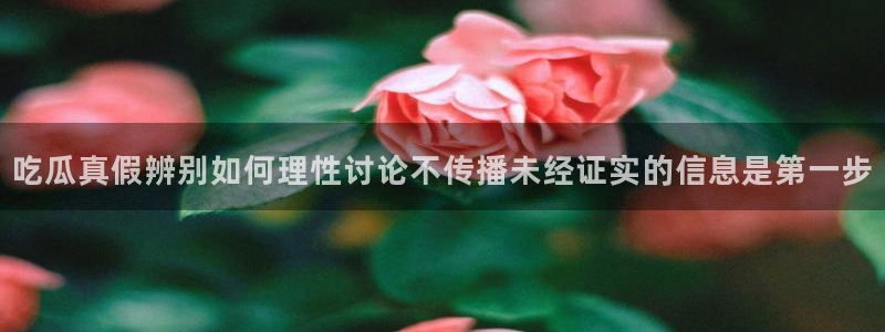 网络黑料今日更新