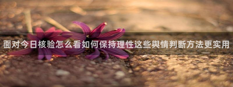 最新黑料信息汇总